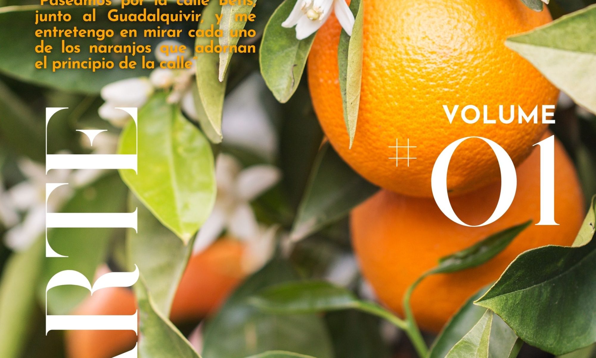 adriansolanoarticulogastronomico